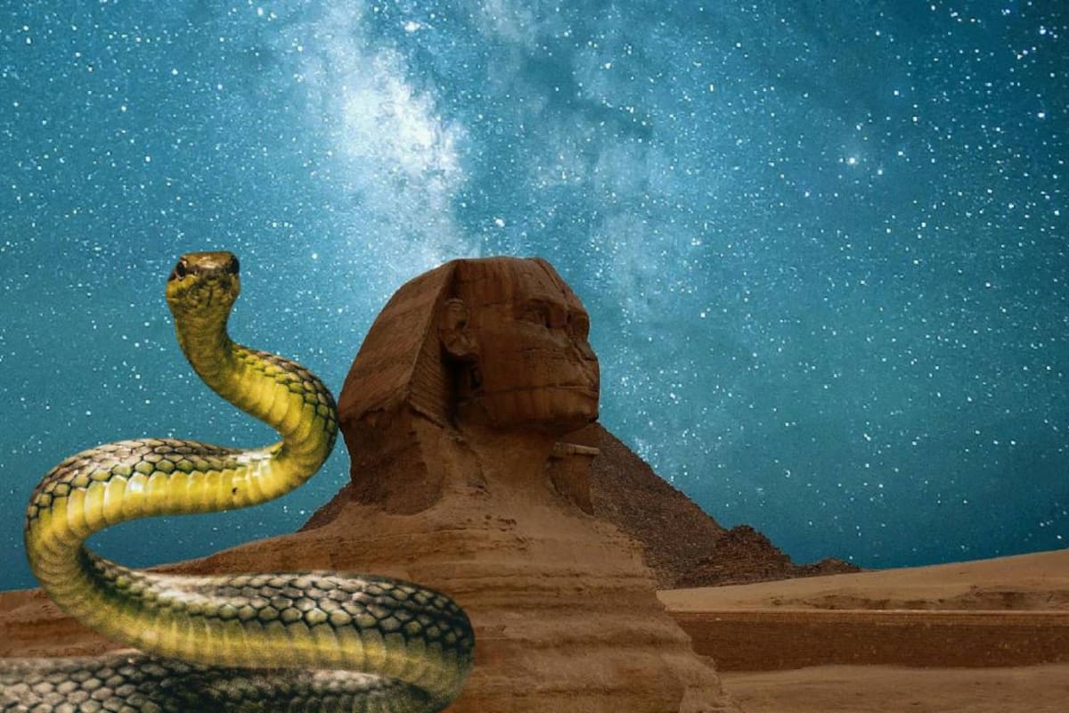 Turista alemán muere en Egipto después de que una cobra se metiera en sus pantalones durante un espectáculo en un hotel de Hurghada y lo mordiera frente a otros asistentes