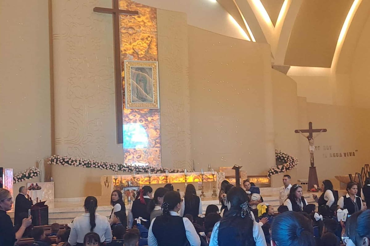 Llegan con pino de la solidaridad a cientos de familias