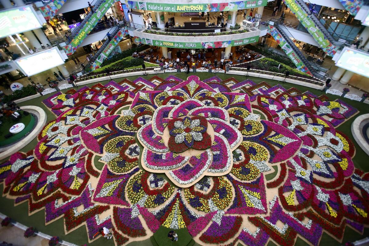 Tapiz de 200.000 flores engalana a Medellín con experiencia multisensorial