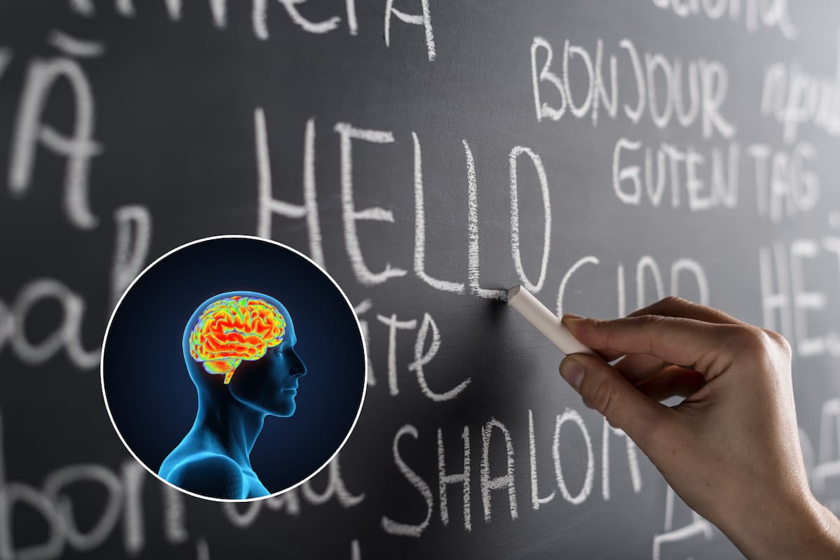 Así cambia tu cerebro al aprender un nuevo idioma, según estudios recientes