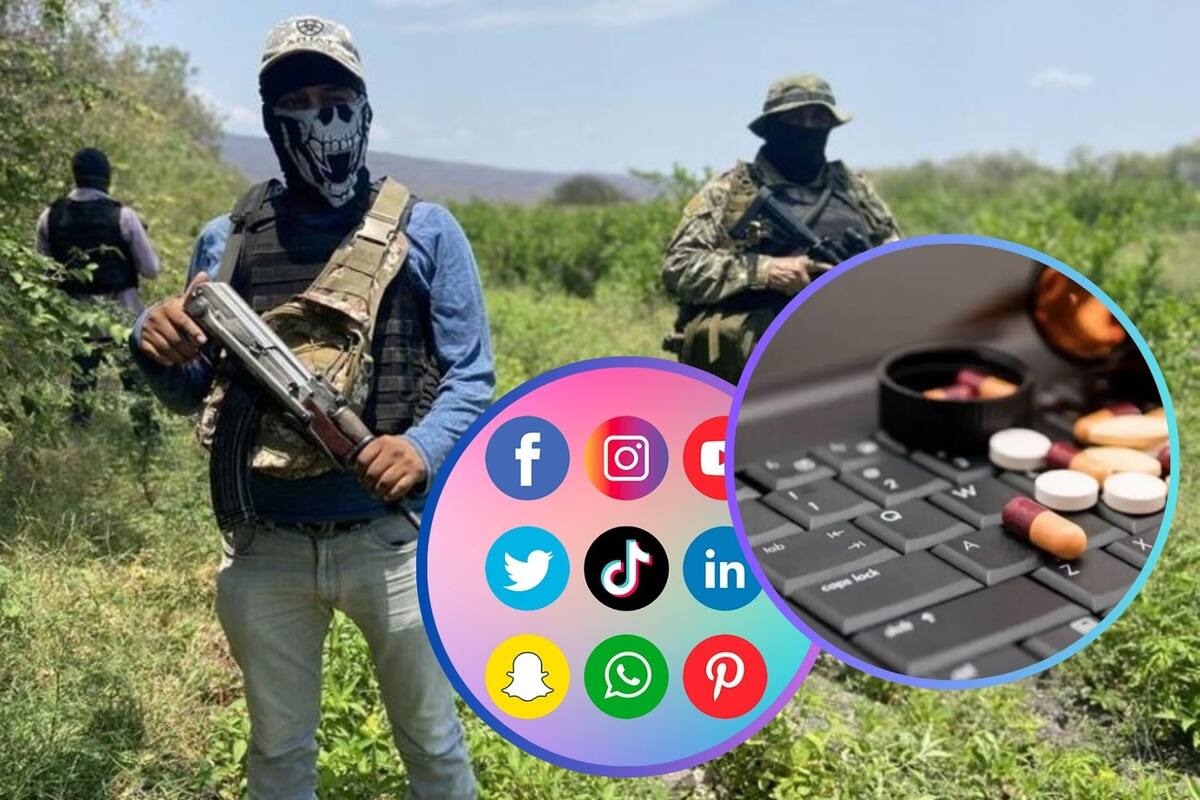 Estas son las redes sociales más usadas por el narco con fines ilegales