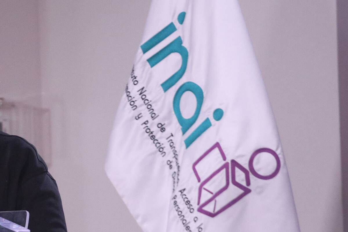 Desaparición de INAI sería un retroceso en el derecho a la transparencia: Alcalá