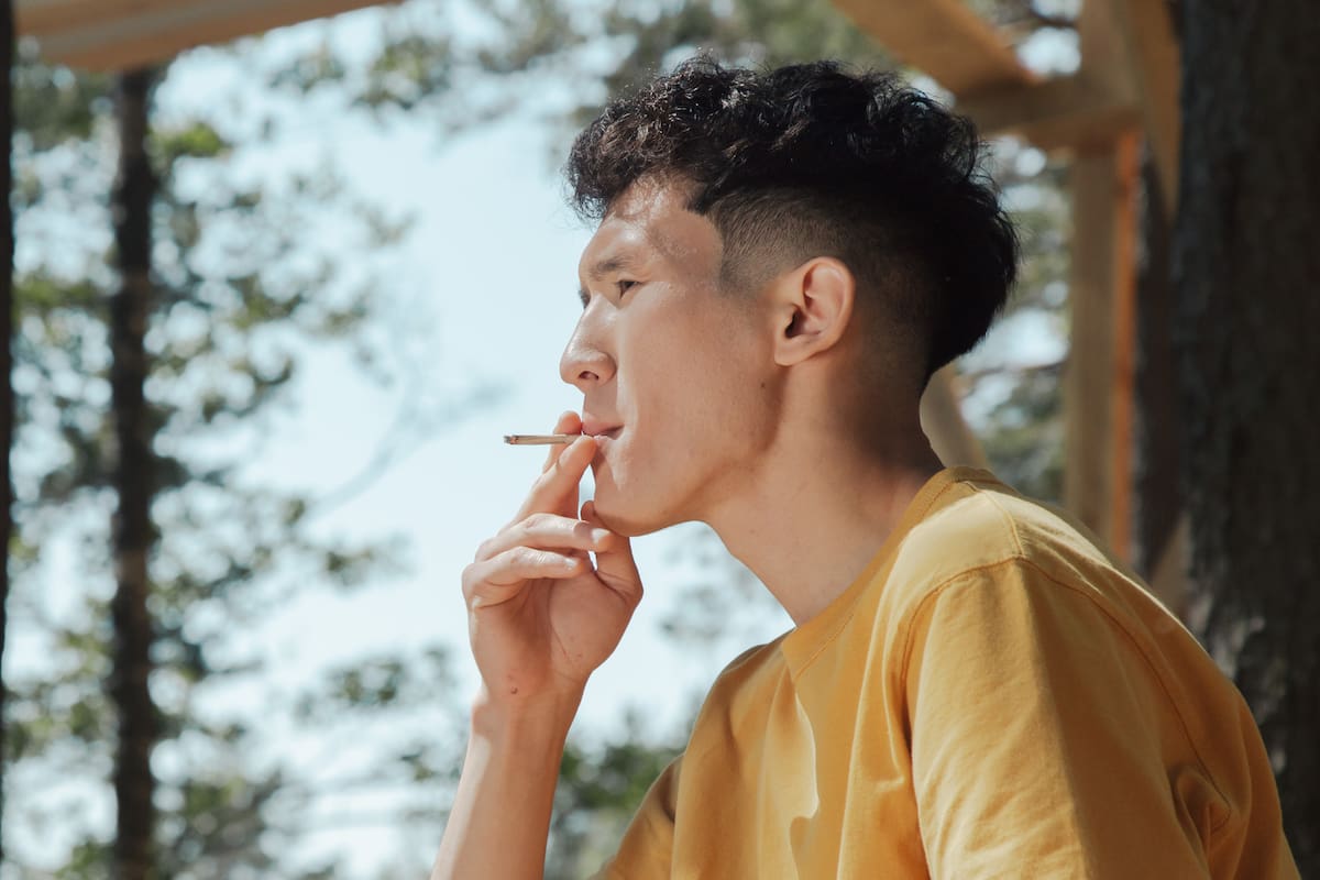 El uso frecuente de cannabis afecta la memoria de trabajo, según estudio