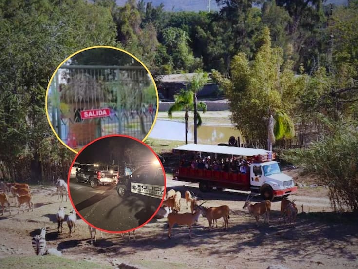 Más de mil turistas durmieron en el Zoológico Guadalajara tras quedar varados por los hechos violentos registrados por el asesinato de “El Mencho”; hay niños y adultos mayores entre los afectados