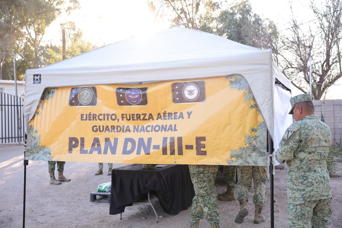 Foto: Juan J. Morales.