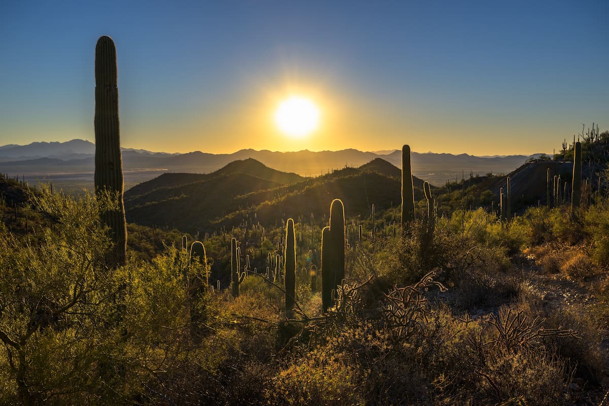 Tucson: maravillas del cielo estrellado y los mejores observatorios de Arizona