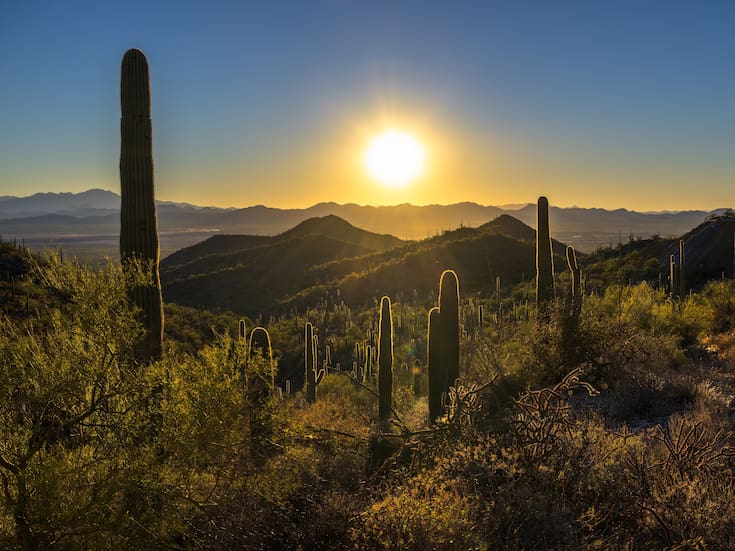 Tucson: maravillas del cielo estrellado y los mejores observatorios de Arizona
