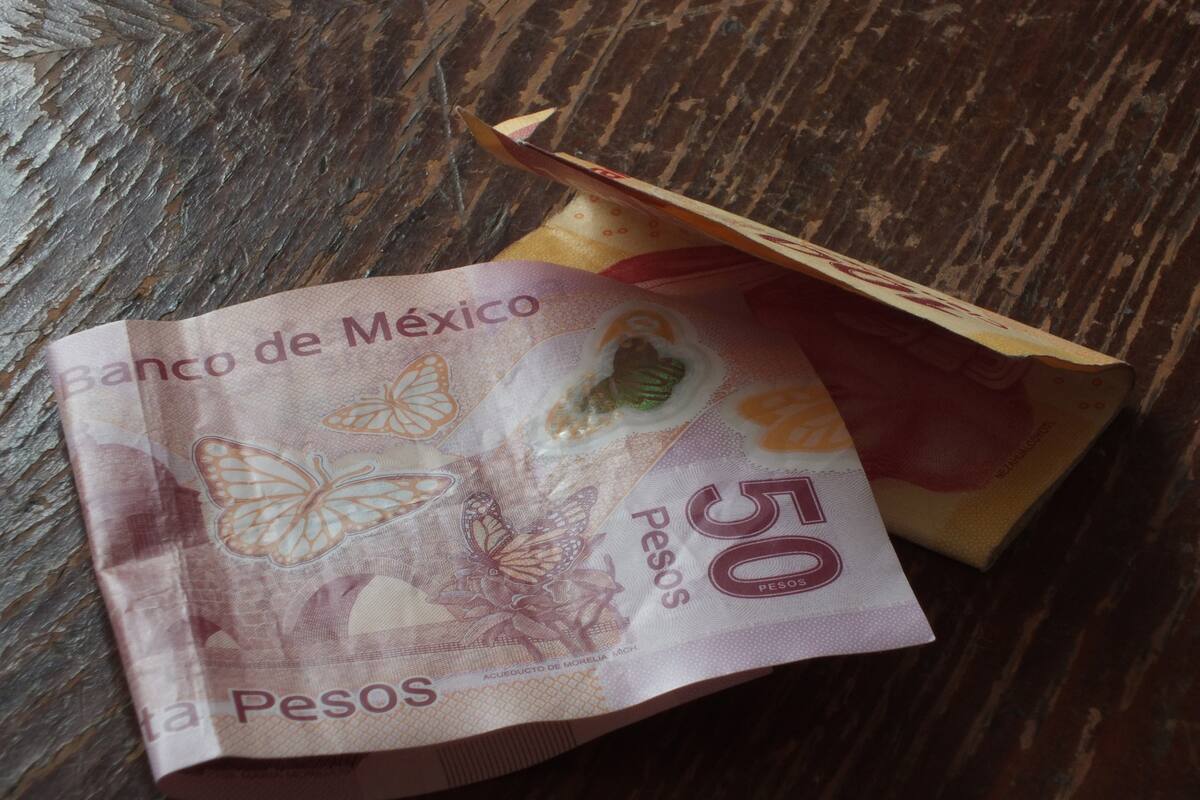 Me quedé sin trabajo y le debo al Fonacot, ¿qué hago?