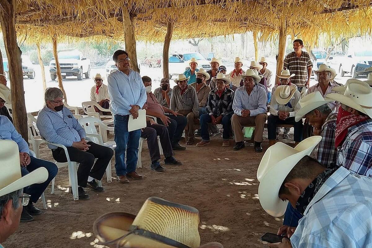 Exige ONU solución a violencia al interior de pueblos Yaquis