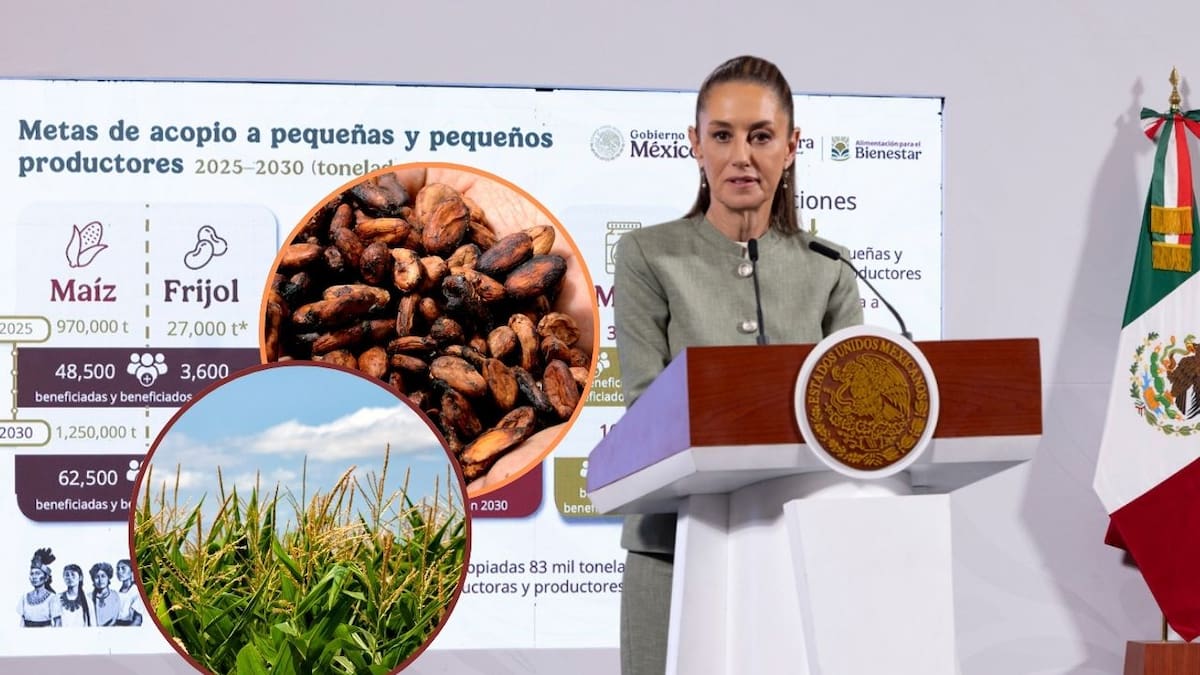 Cosechando Soberanía: Gobierno de México brinda apoyo integral para pequeños y medianos productores | Noticias de México | El Imparcial