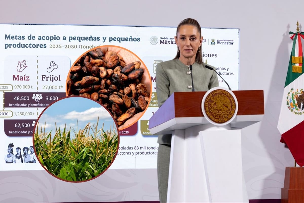Cosechando Soberanía: Gobierno de México brinda apoyo integral para pequeños y medianos productores