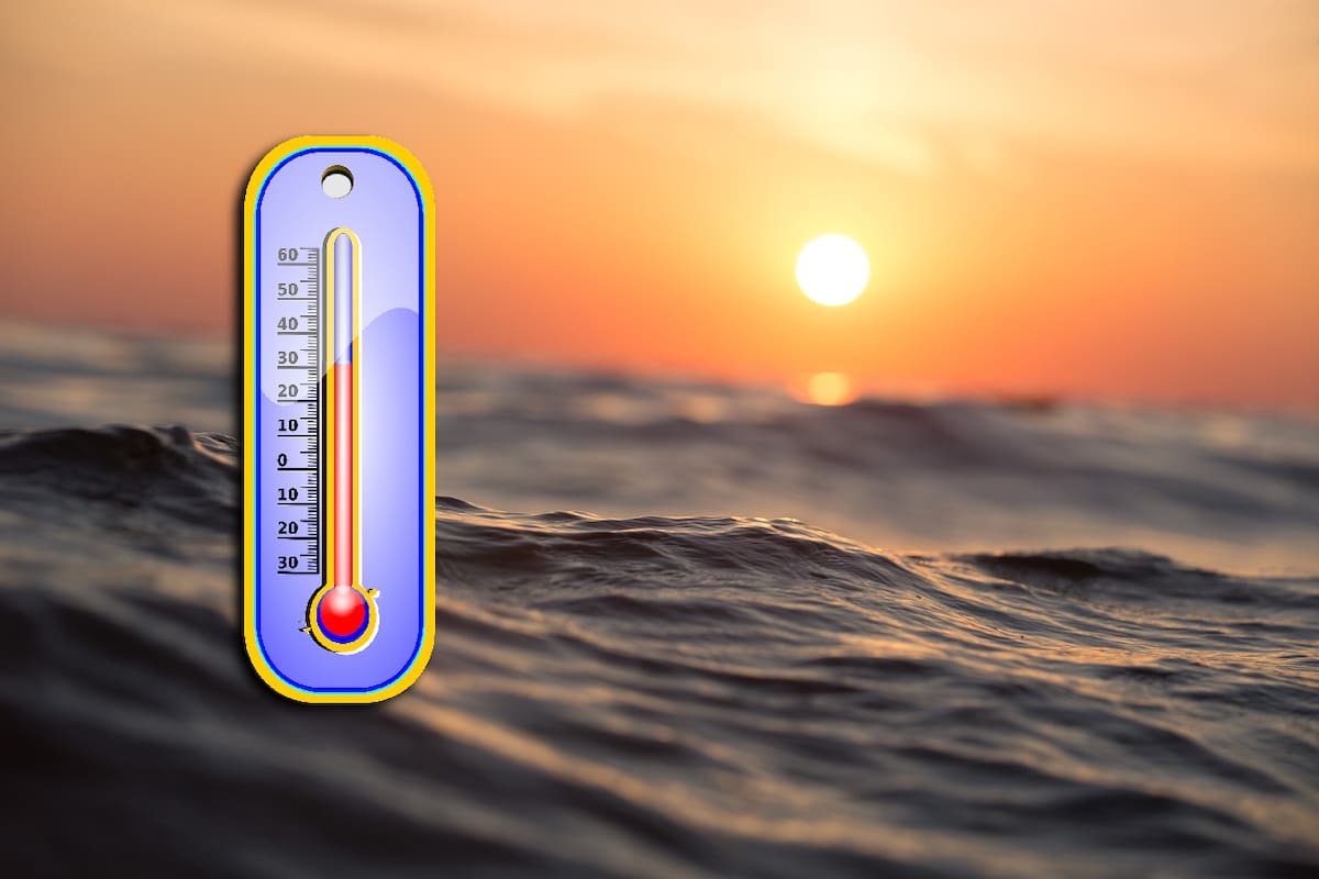 Las olas de calor marinas, fenómenos extremos que han aumentado en frecuencia y duración debido al calentamiento global, tienen graves impactos en los ecosistemas marinos, la economía y la seguridad de las comunidades costeras.