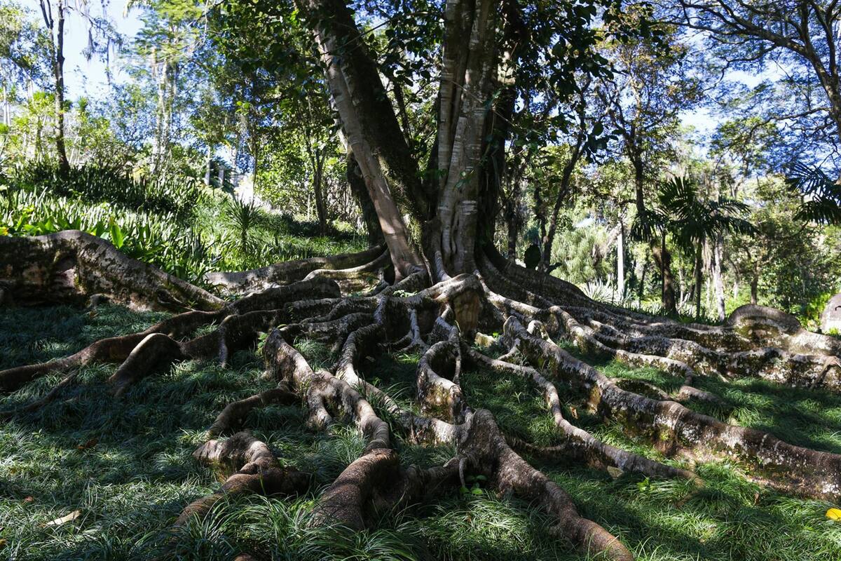 Unesco aprueba otras 6 candidaturas a Patrimonio Mundial