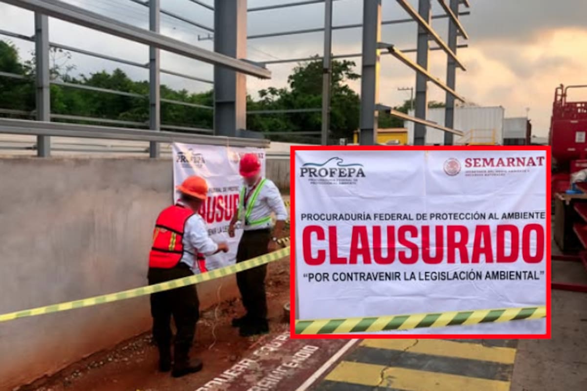 Clausura Profepa obra irregular de Halliburton en Chiapas por carecer de permiso ambiental