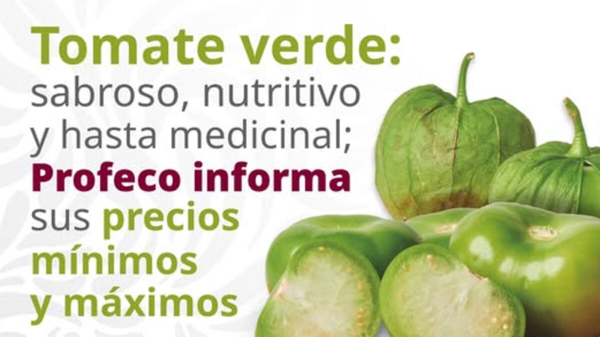 El tomate verde conquista paladares y mercados: nutritivo, medicinal y con precios variables, informa Profeco