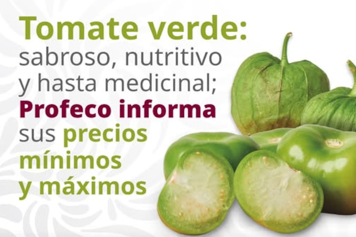 El tomate verde conquista paladares y mercados: nutritivo, medicinal y con precios variables, informa Profeco