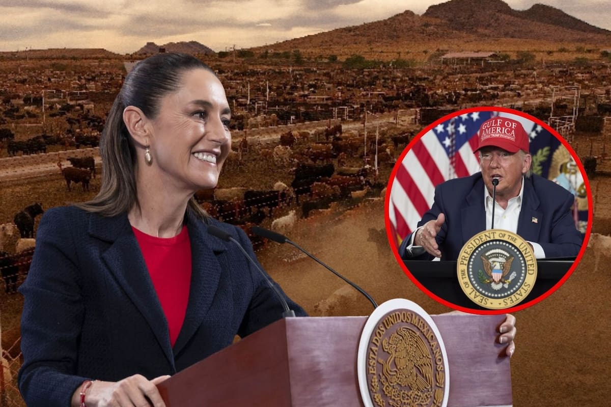 México inicia construcción de planta para combatir con moscas el gusano barrenador con apoyo de EEUU; estará lista en 2026