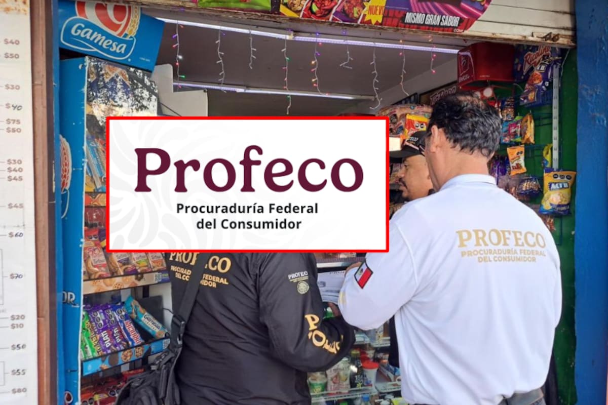 Profeco brinda más de 100 asesorías a peregrinos en la Basílica de Guadalupe