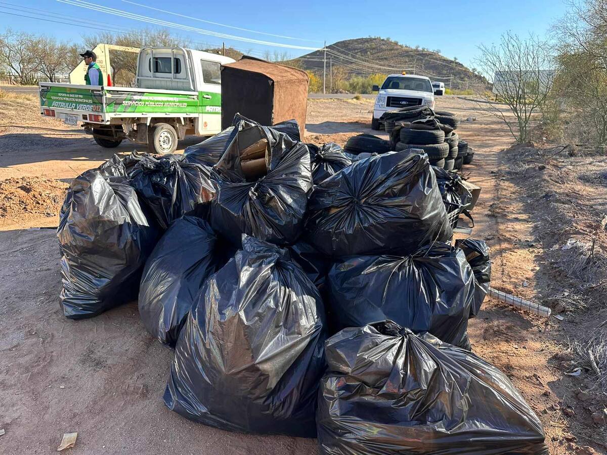 Mega limpieza de la carretera a Bahía de Kino organizada por el patronato Kino Limpio y Seguro