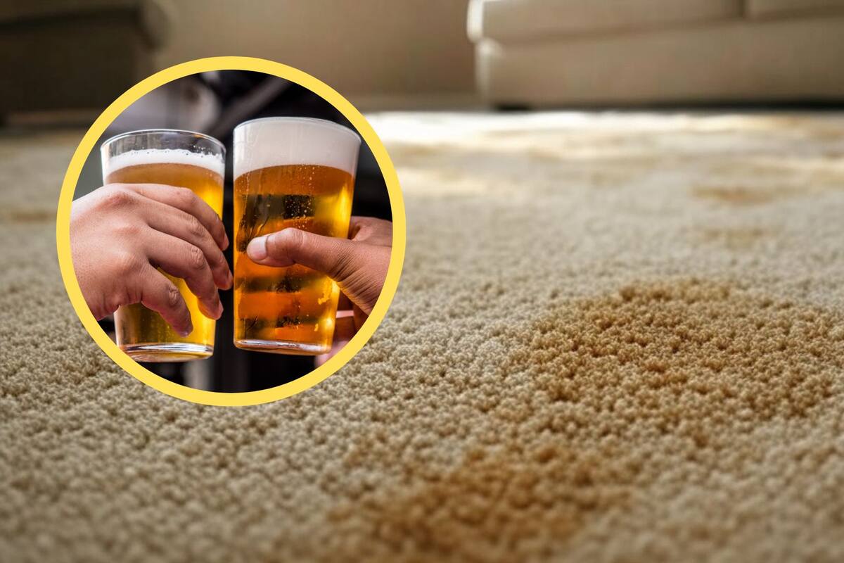 Así puedes limpiar manchas de café en la alfombra con cerveza