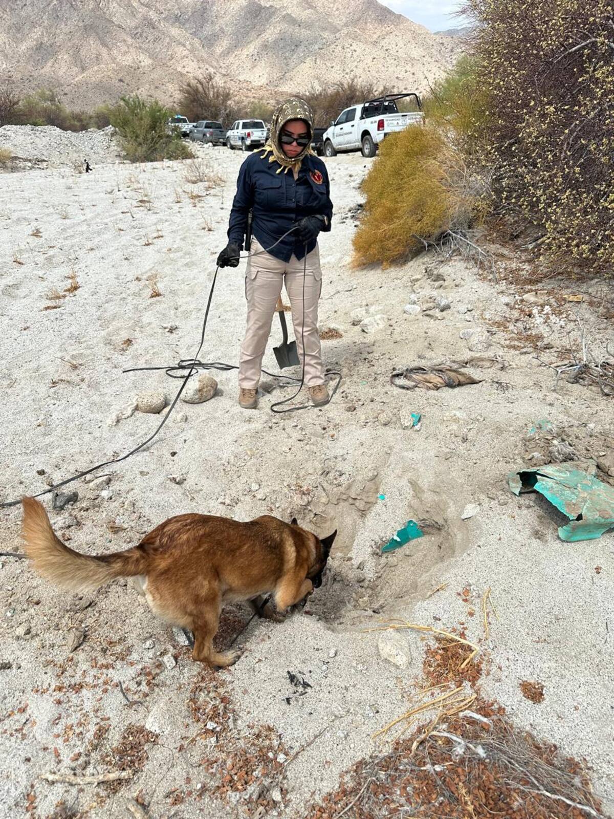 Las buscadoras fueron acompañadas en este operativo por elementos de la Comisión Local de Búsqueda, así como agentes policiales. Foto: Cortesía