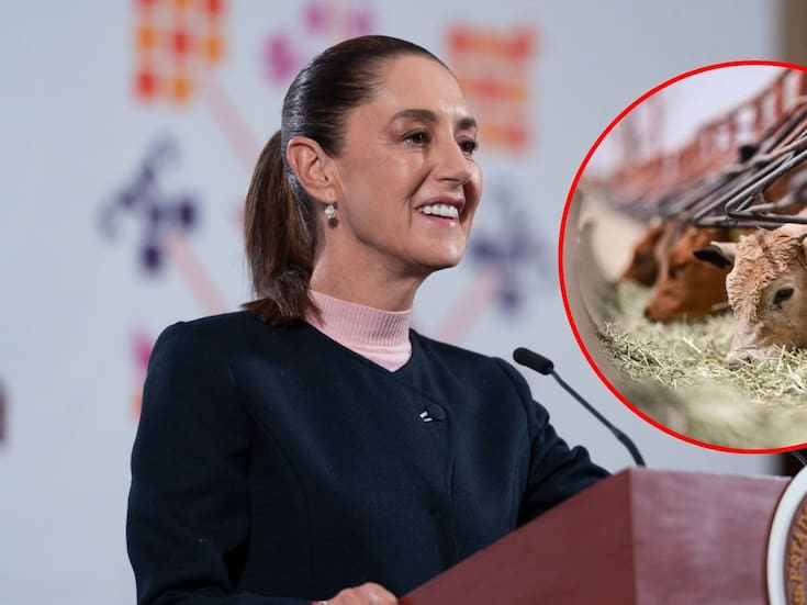 Confirma Sheinbaum que no hay fecha para apertura de la frontera de EEUU al ganado mexicano
