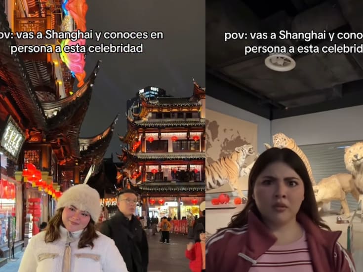 Joven visita Shanghái y encuentra la escultura del famoso “León impresionado” del meme