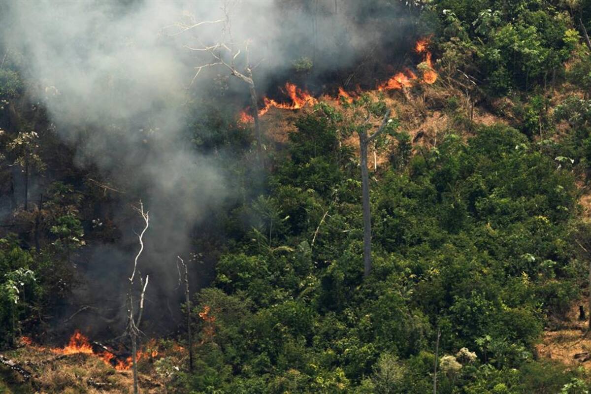 Bolsonaro envía a soldados a combatir incendios en el Amazonas