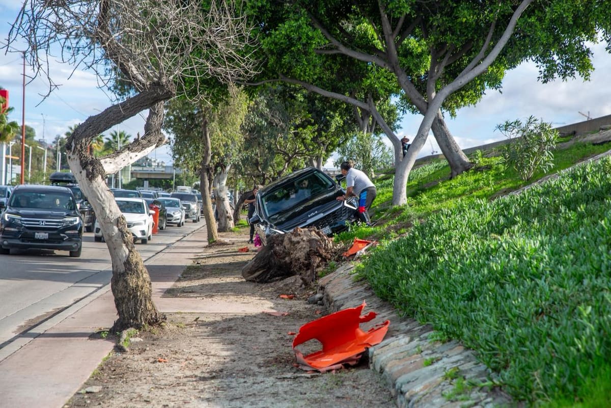 Un automovilista perdió el control de su vehículo mientras circulaba por la Vía Rápida Oriente y terminó sobre el camellón. Foto: Border Zoom