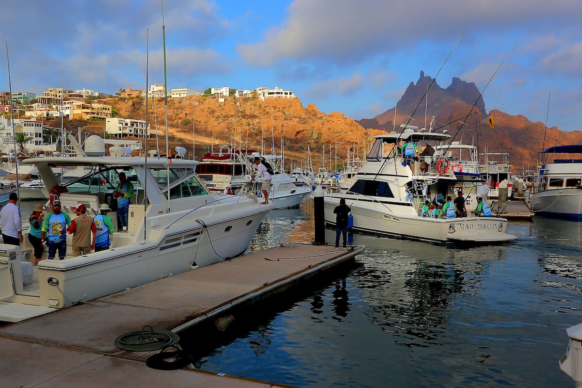 Pesca deportiva en Sonora busca atraer más turismo y derrama a las costas; Estado expedirá permisos