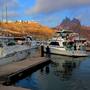 Pesca deportiva en Sonora busca atraer más turismo y derrama a las costas; Estado expedirá permisos