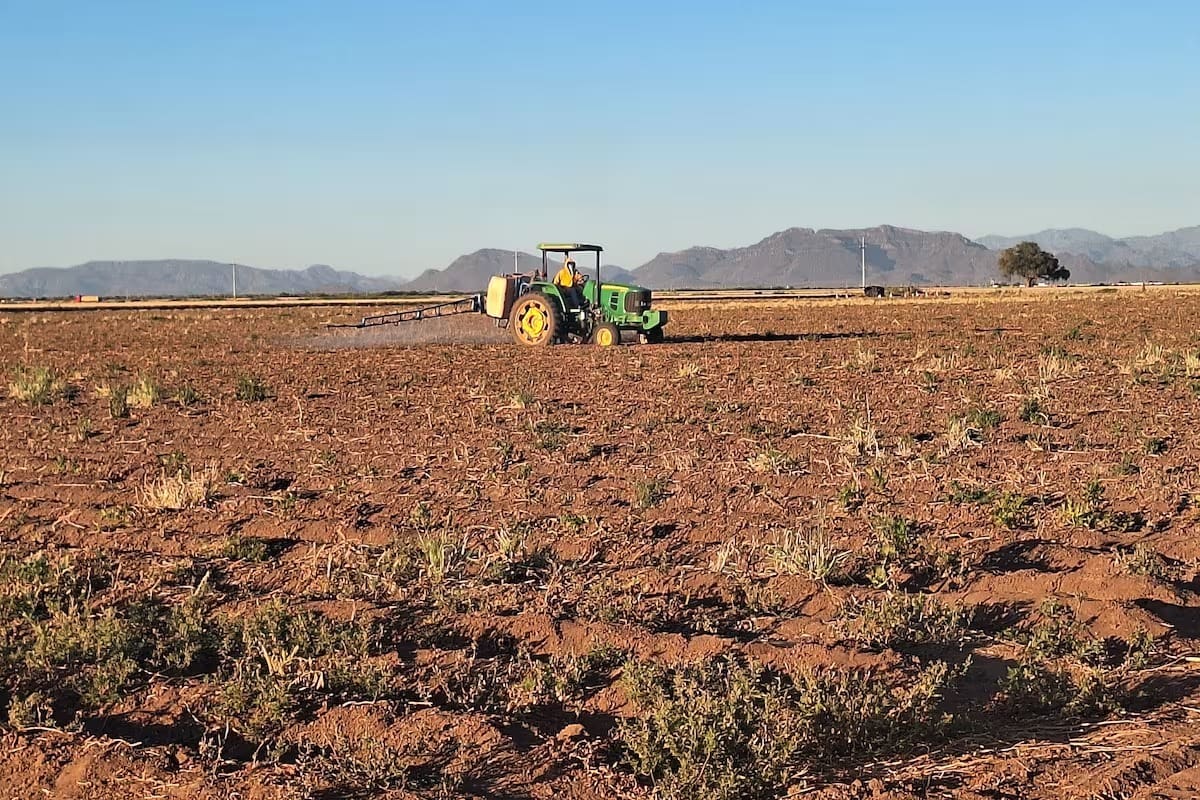 Crisis por sequía seguirá impactando en 2025: Productores