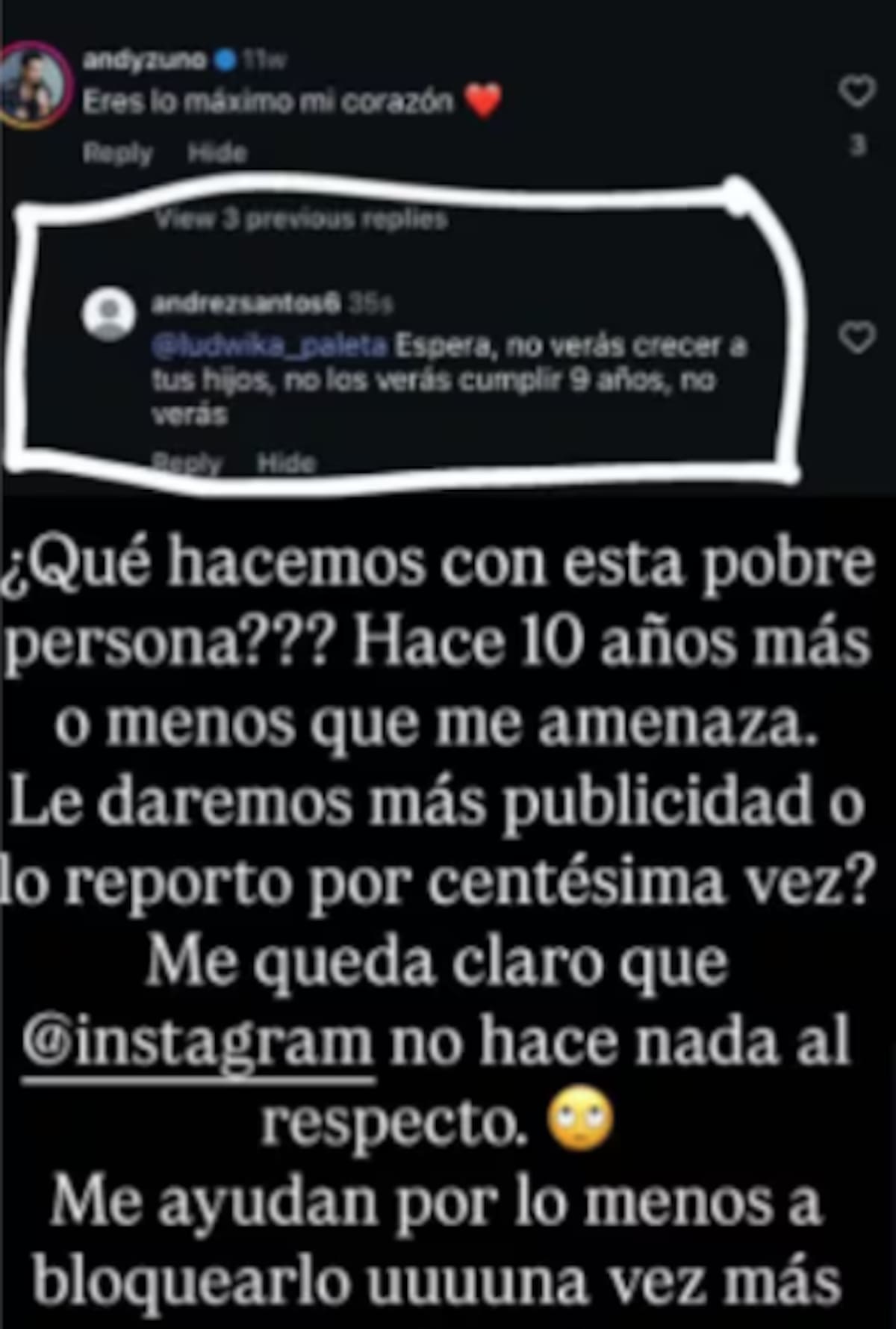 Instagram: @ludwika_paleta