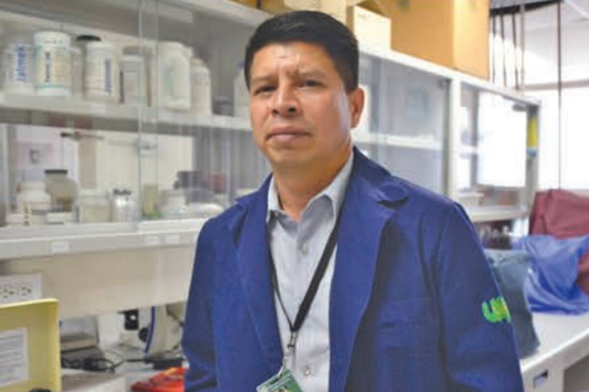 Incrementan en plantas nativas su pontencial de absorción de materiales peligrosos