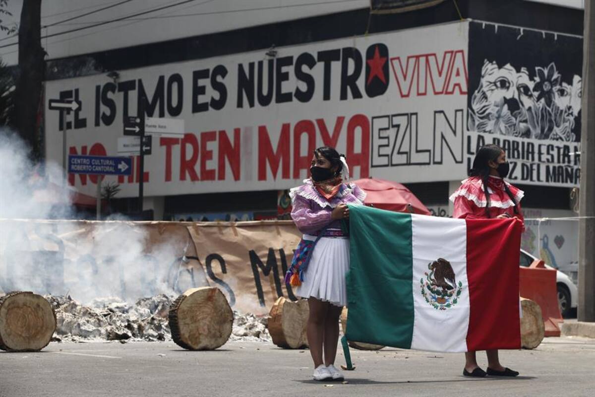 Se han asesinado a 45 activistas en dos años de gobierno de AMLO: Red TDT
