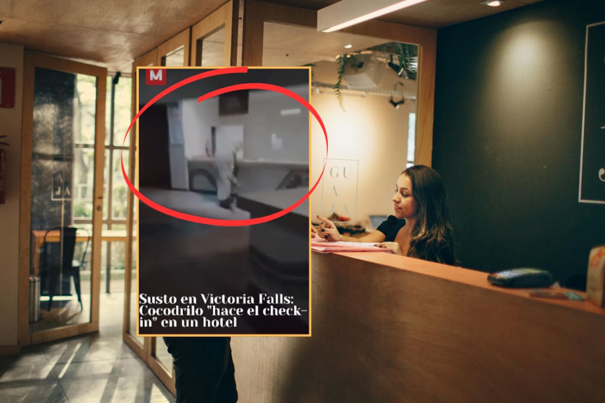 Turista capta a cocodrilo “haciendo check-in” en hotel de Victoria Falls