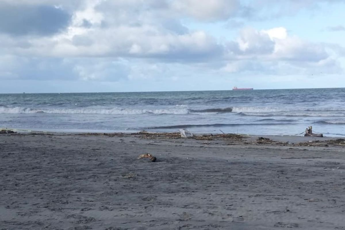 Hallan pie humano en playa de Rosarito; turista extranjero dio aviso a autoridades
