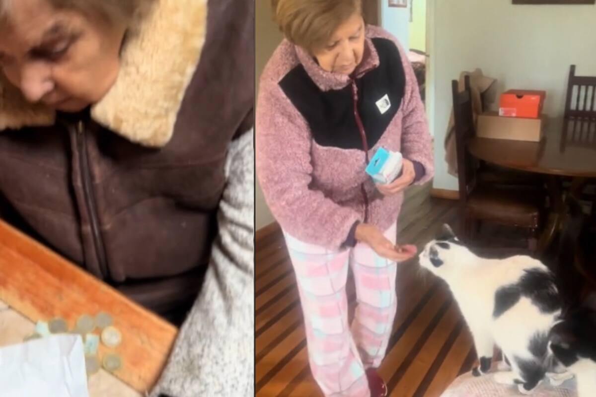 Abuela con Alzheimer se acuerda de los gatos de su nieta y le pide que les compre galletas