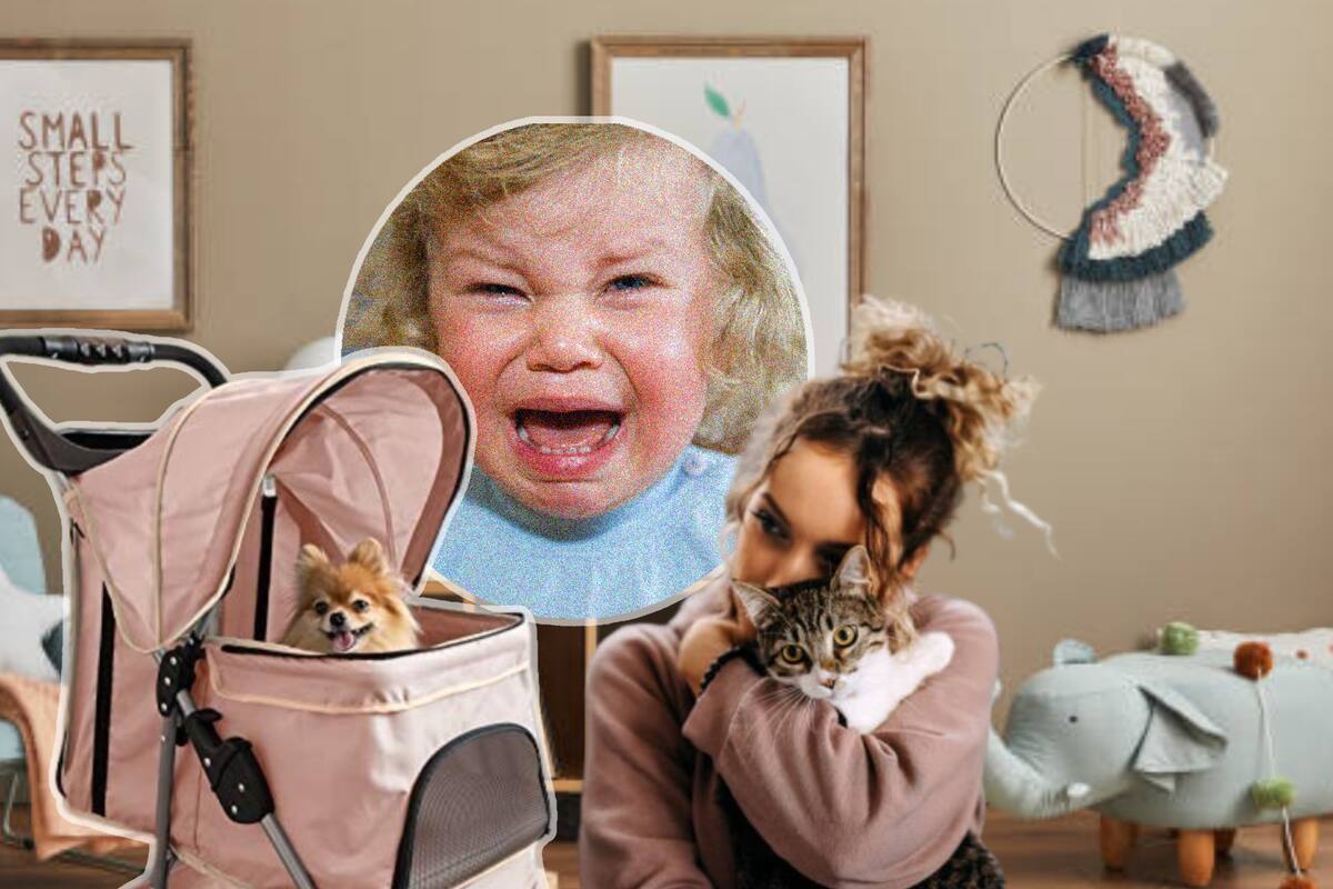 ¿Mejor mascotas que bebés? Este país vende más carriolas para animales que para bebés y ahora está tomando medidas drásticas contra la baja natalidad