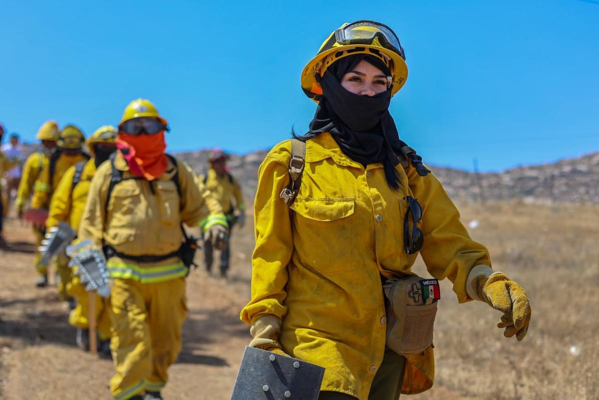 Durante 5 días, elementos de corporaciones de emergencia recibieron capacitación práctica y teórica en la materia. Foto: Cortesía
