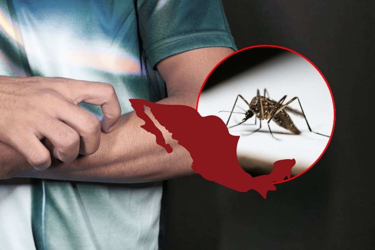 IMSS exhorta a la población a ser primera línea de defensa contra el dengue