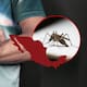 Sonora encabeza los casos de dengue en México; aumentan más de 20 veces en un año