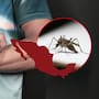 Sonora encabeza los casos de dengue en México; aumentan más de 20 veces en un año