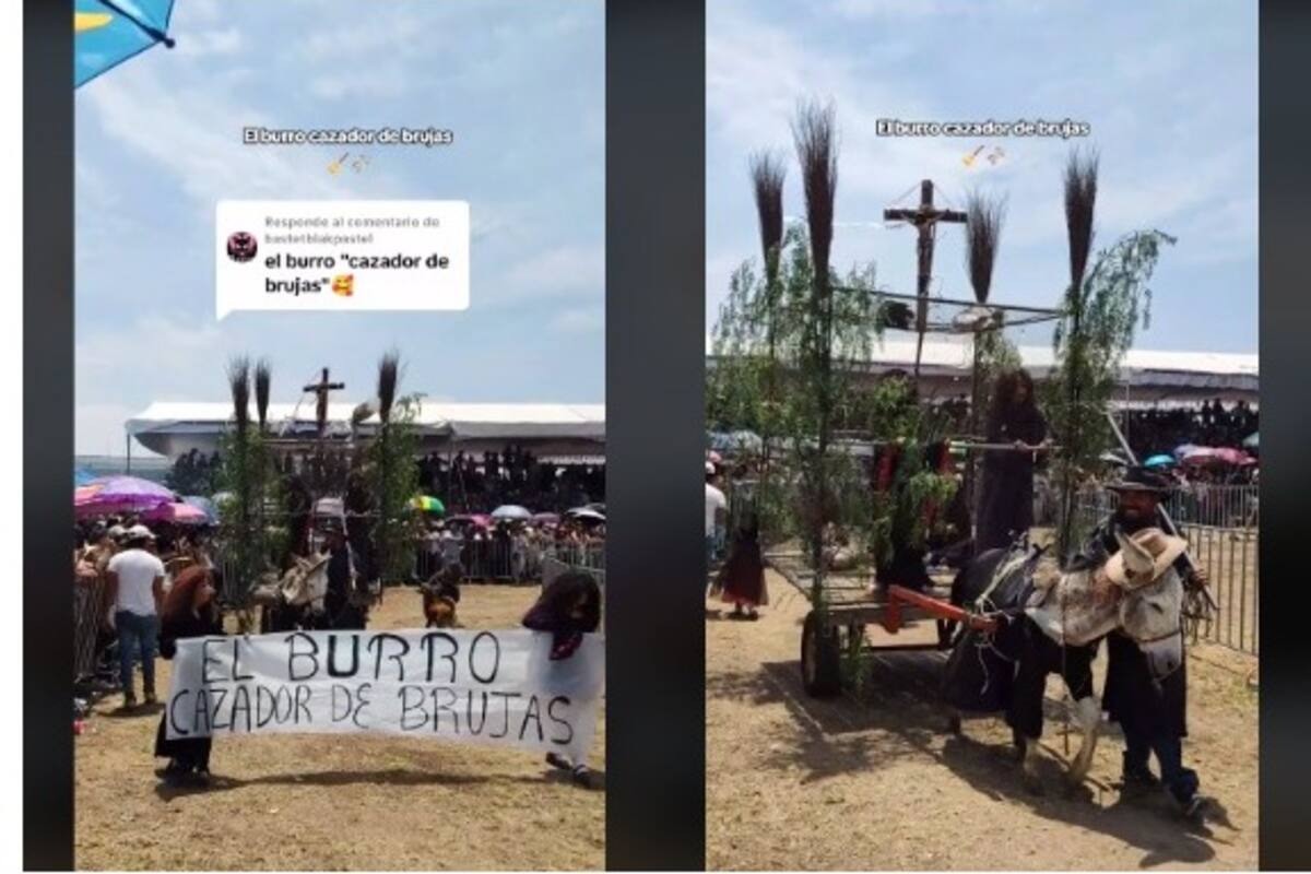 Burro cazador de brujas gana concurso de burros disfrazados