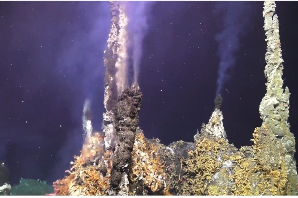 Volcán submarino Axial Seamount podría entrar en erupción en cualquier momento