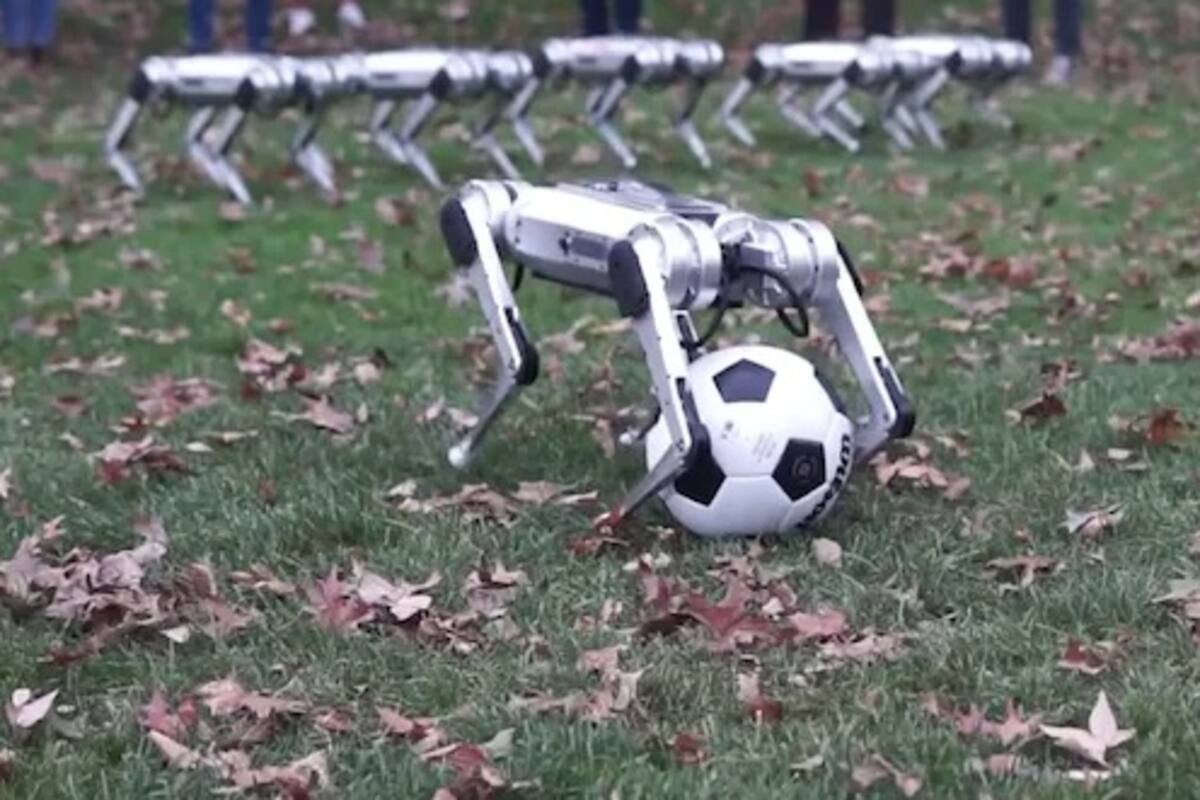 Adorable y un poco inquietante video de robots jugando en el césped