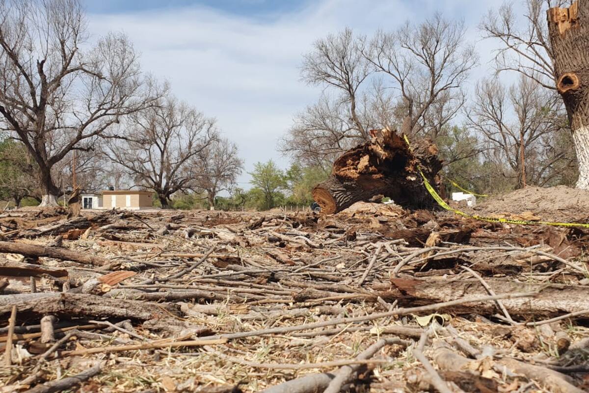 Esperan que con “El Niño” acabe la sequía en el Sur de Sonora