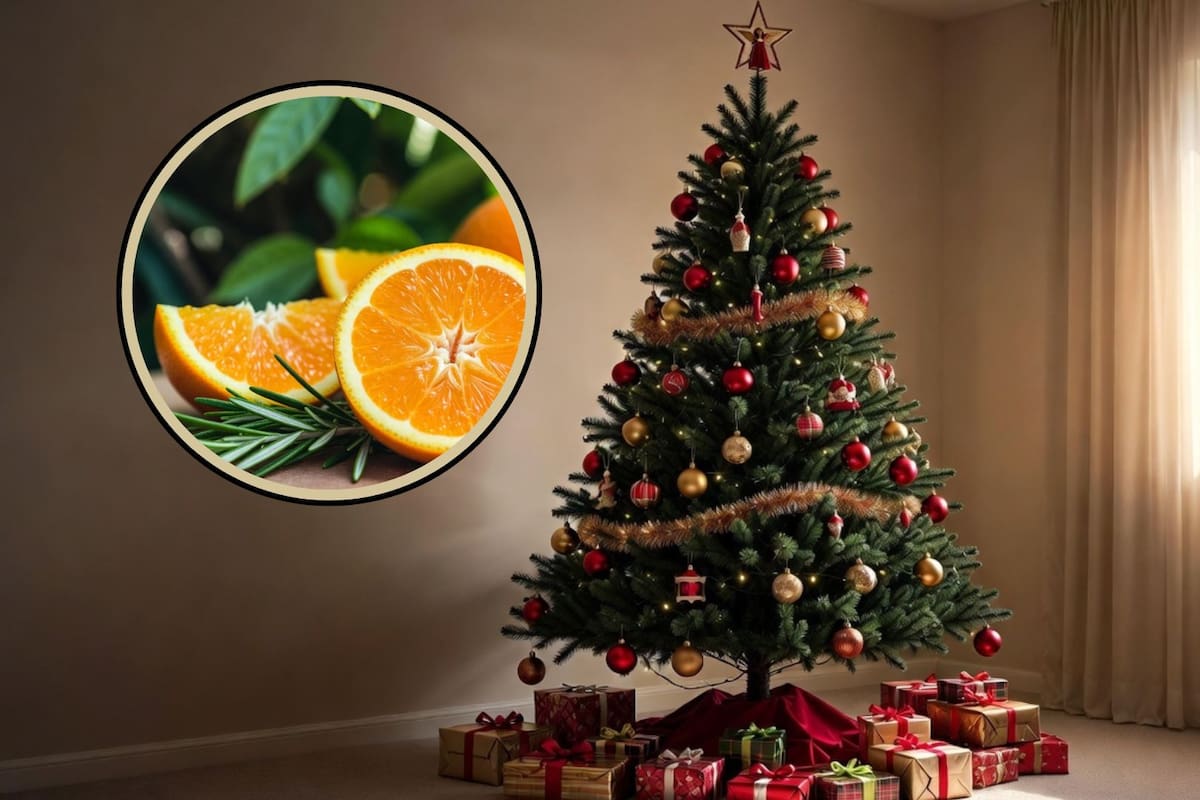 ¿Por qué deberías decorar el árbol de navidad con naranja y romero? Esto significa