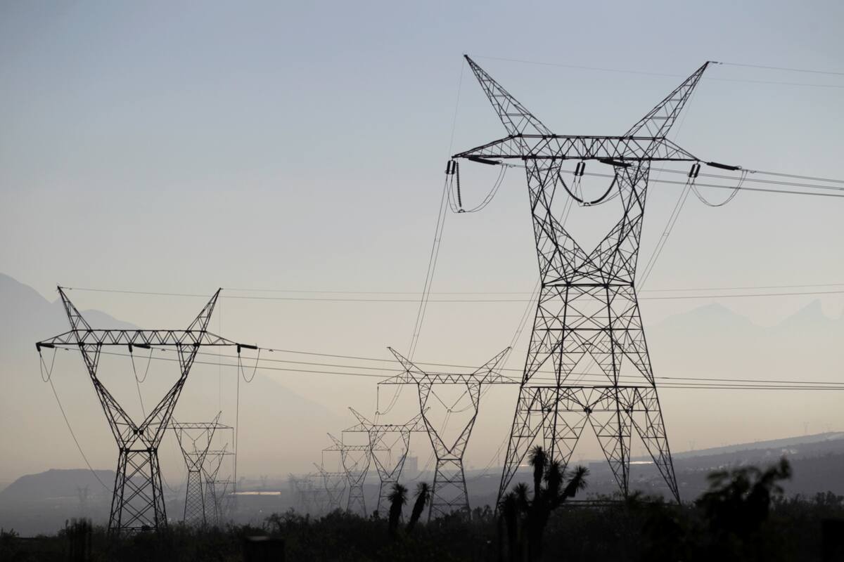 Alemania respalda posible nacionalización de empresas energéticas; en México PRI, PAN, PRD y MC votaron en contra de la iniciativa similar de AMLO