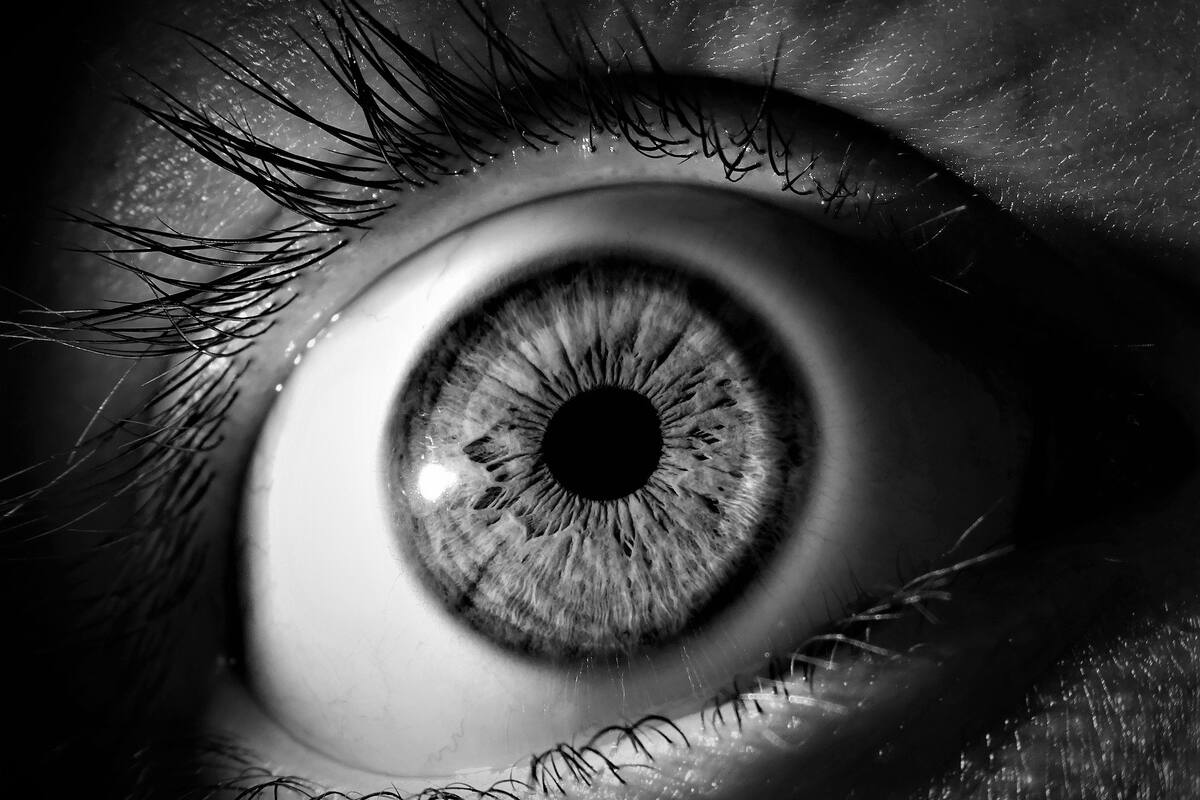 Desarrollan ojo biónico para ayudar a personas con ceguera